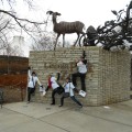 Zoo Scavenger Safari
