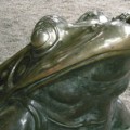 Boulder Frog