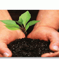 Hands and Earth